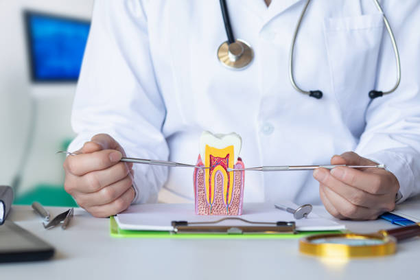 Best Emergency Orthodontic Repairs in Newport, VT
